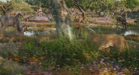 The Lion King – YTS Yify.
